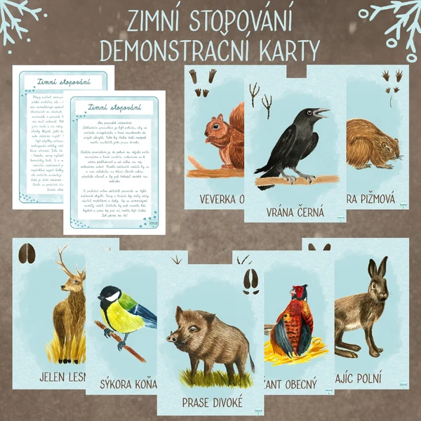 Zimní stopování - Demonstrační karty