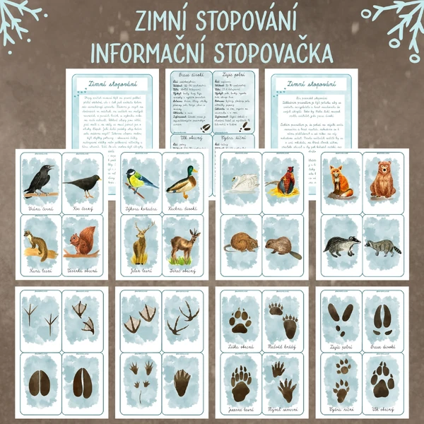 Zimní stopování - Informační stopovačka 