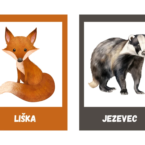 Volně žijící zvířata