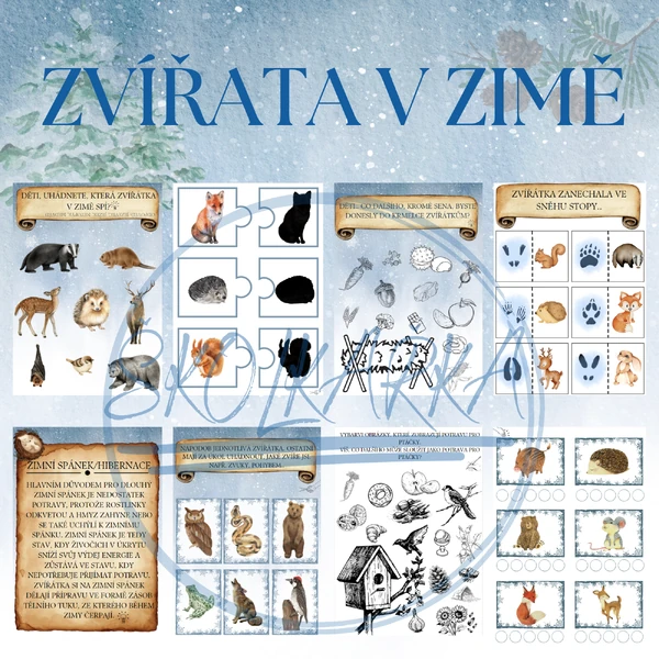 ZVÍŘATA V ZIMĚ
