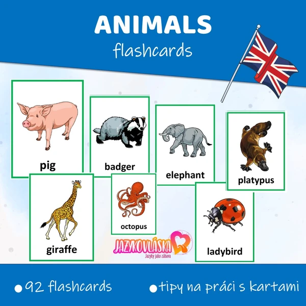 Animals flashcards