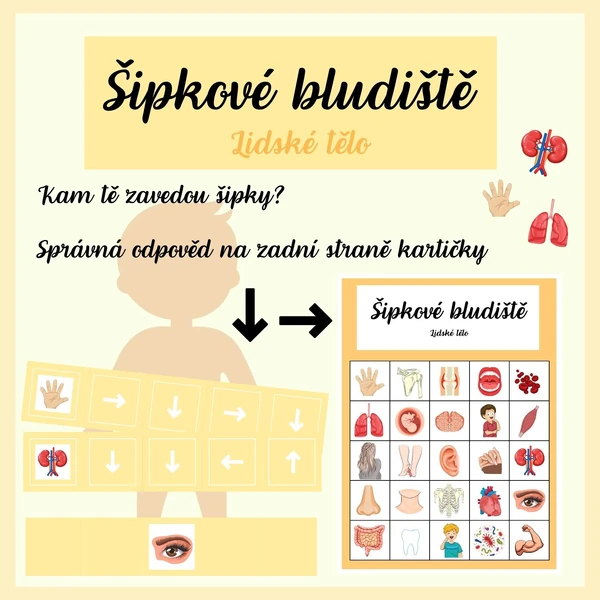 Šipkové bludiště - Lidské tělo