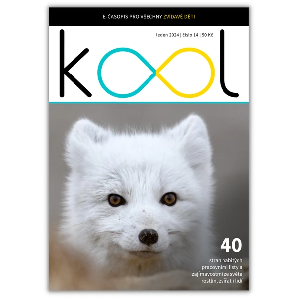 KOOL 01/24 (e-časopis)