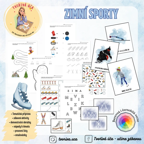 Zimní sporty 