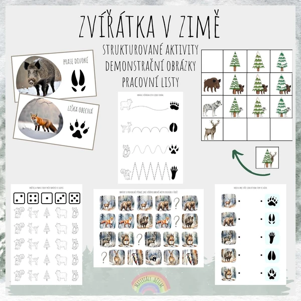 Zvířátka v zimě, soubor aktivit