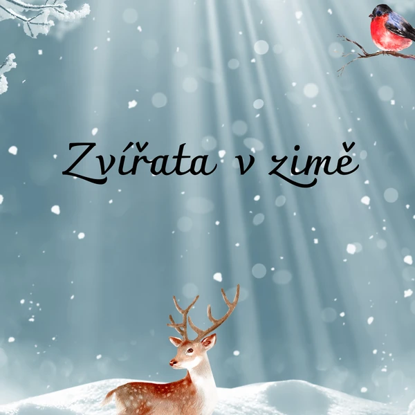 Zvířata v zimě