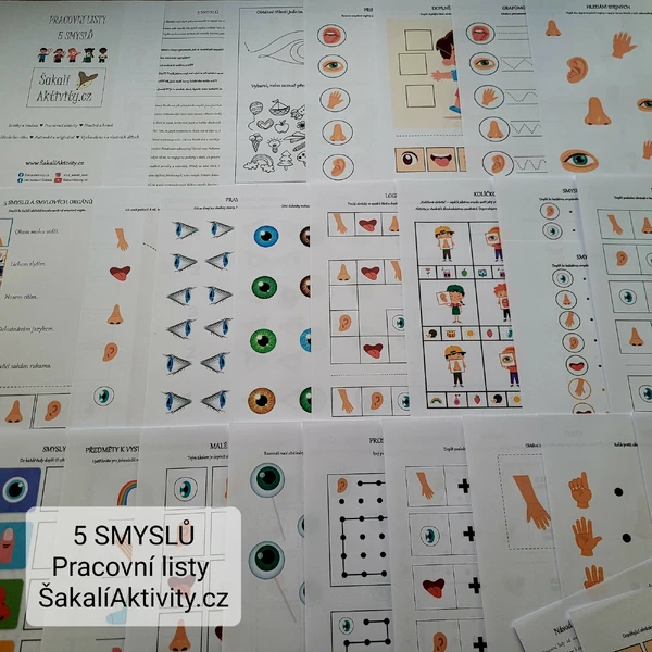 Pracovní listy - 5 SMYSLŮ