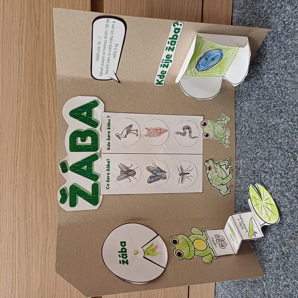 Můj první lapbook - žába 