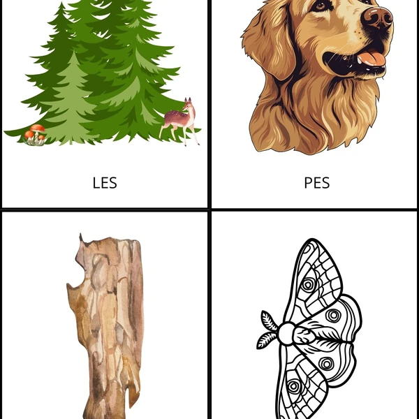 Rýmy - stromy, les pro MŠ
