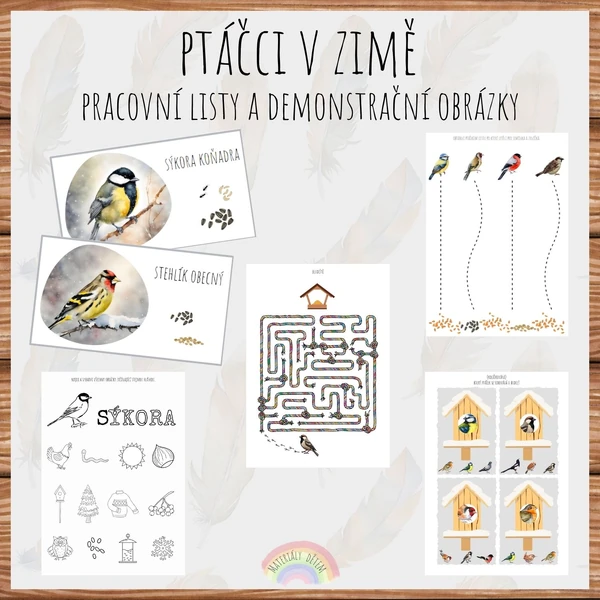 Ptáčci v zimě, demonstrační obrázky a pracovní listy