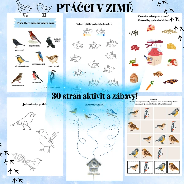 Ptáčci v zimě