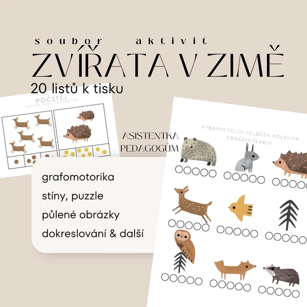 Zvířata v zimě - soubor aktivit