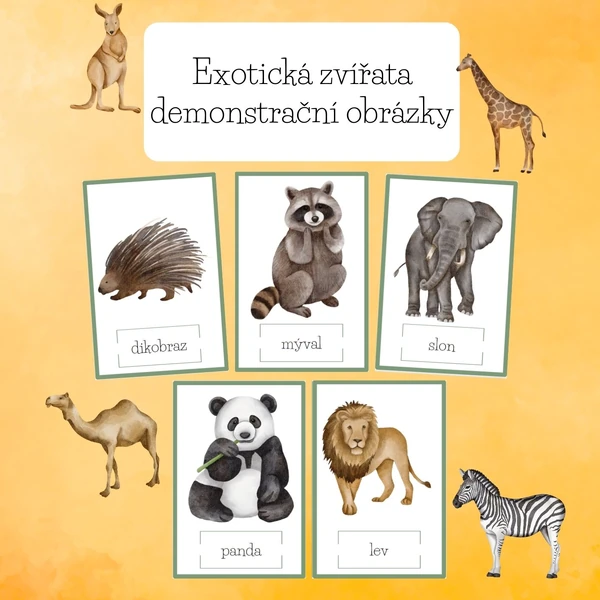 Exotická zvířata-demonstrační obrázky
