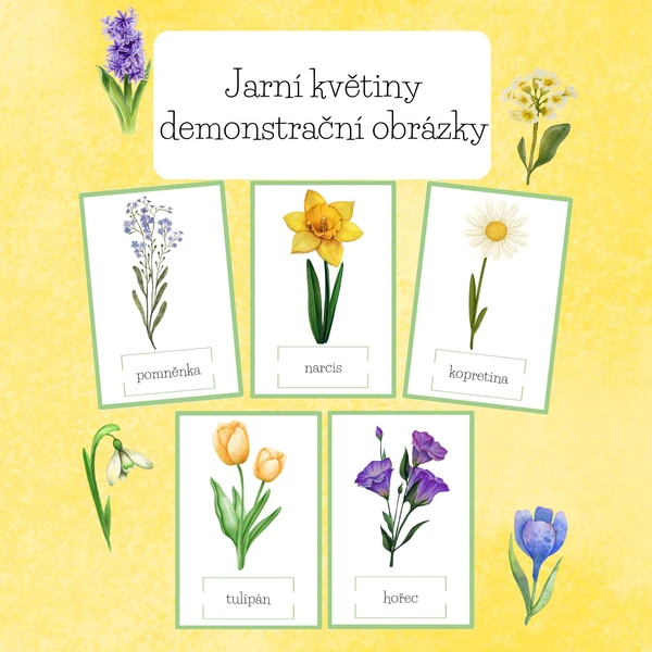 Jarní květiny-demonstrační obrázky