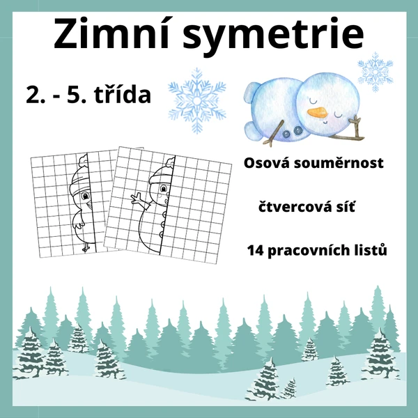 Zimní symetrie