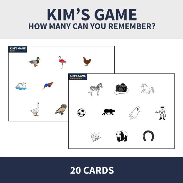ENG - KIM'S GAME (20 cards, various topics)