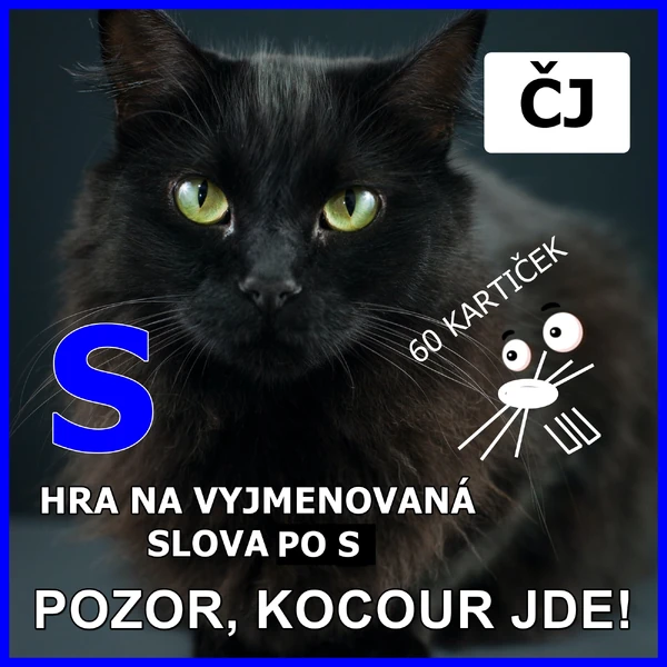 VYJMENOVANÁ SLOVA PO S