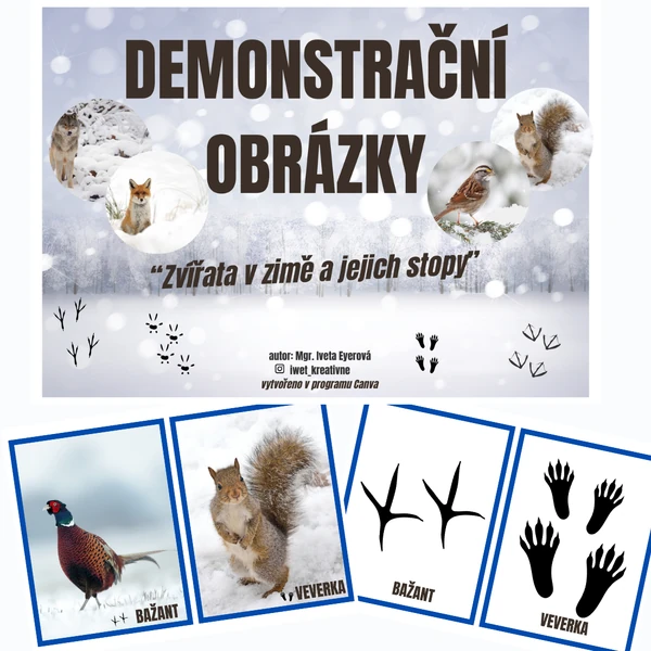Zvířata v zimě a jejich stopy - demonstrační obrázky