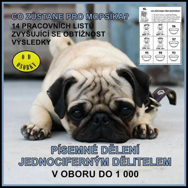 PÍSEMNÉ DĚLENÍ JEDNOCIFERNÝM DĚLITELEM V OBORU DO 1 000