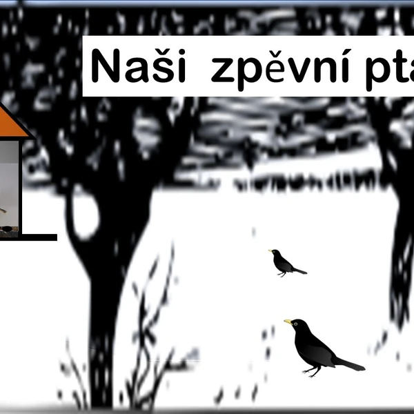 Naší zpěvní ptáci 