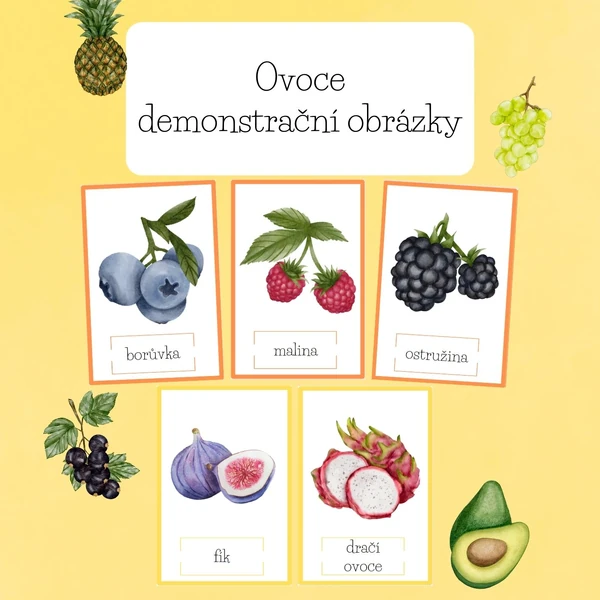 Ovoce-demonstrační obrázky