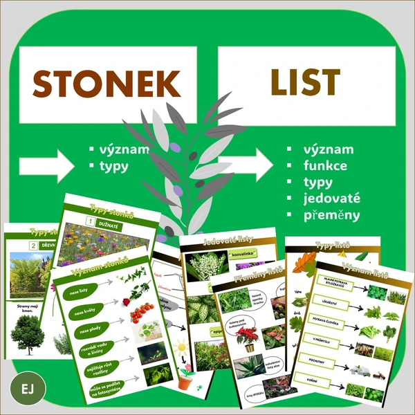 Stonek a list