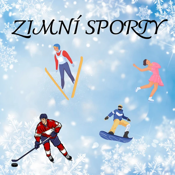 Zimní sporty