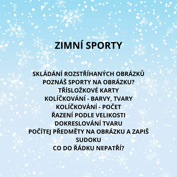 ZIMNÍ SPORTY