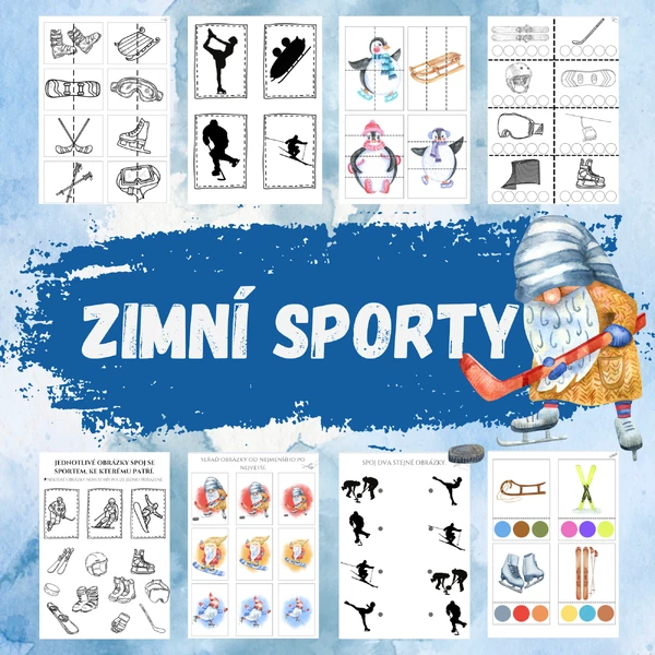 ZIMNÍ SPORTY