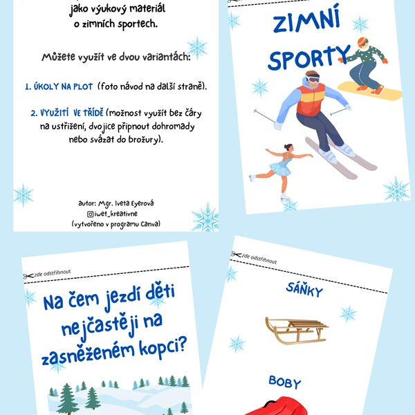 ZIMNÍ SPORTY (úkoly na plot/do třídy)