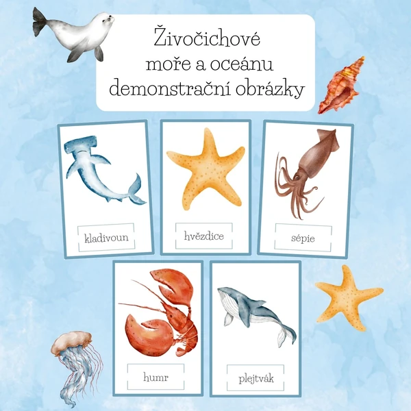 Živočichové moře a oceánu-demonstrační obrázky