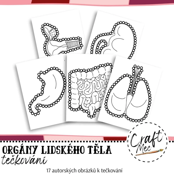 ORGÁNY LIDSKÉHO TĚLA - TEČKOVÁNÍ