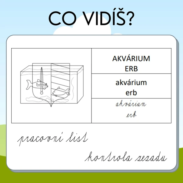 Co vidíš?