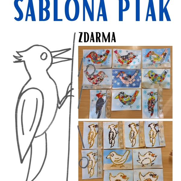 Šablona pták - tvoření (zdarma)