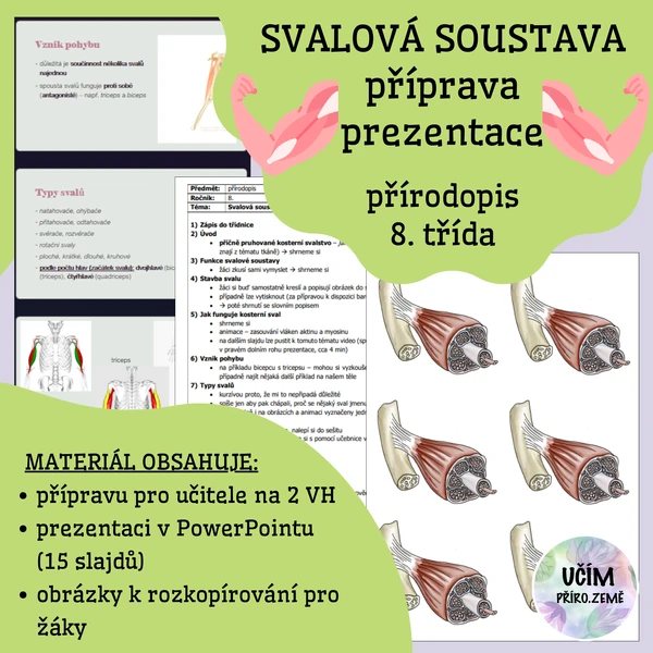 Svalová soustava - příprava, prezentace