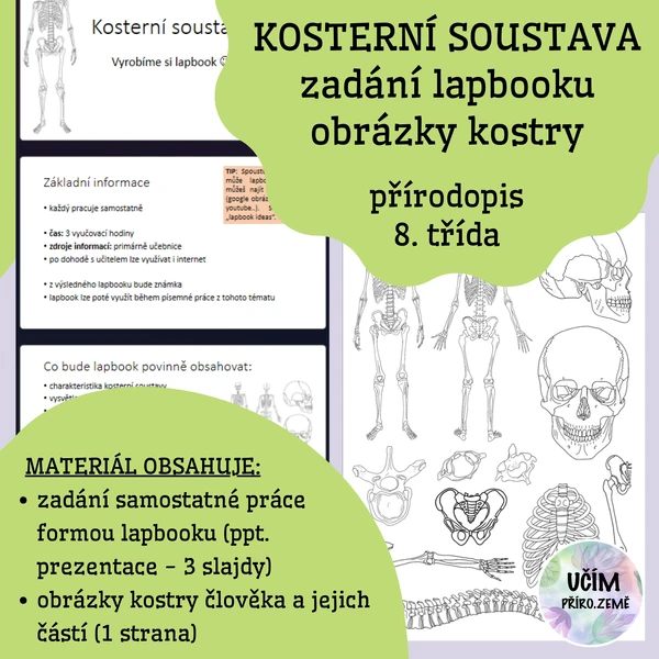 Kosterní soustava - zadání lapbooku
