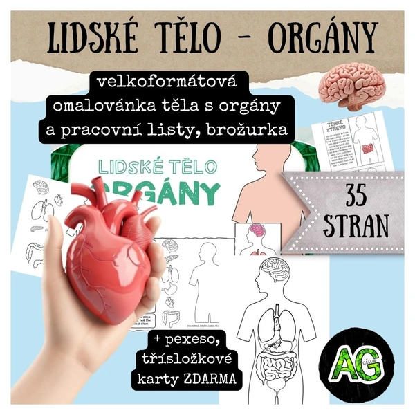 LIDSKÉ TĚLO - ORGÁNY (velkoformátová omalovánka, pracovní listy, brožurka + další aktivity zdarma)