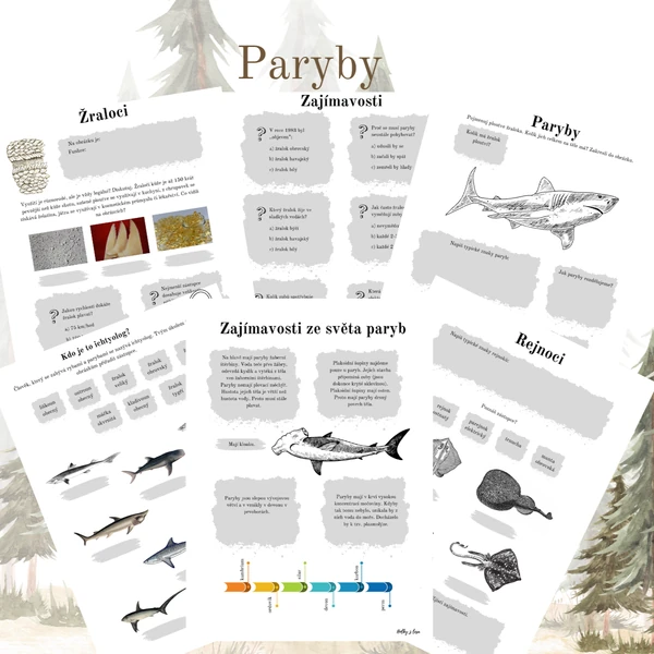 Paryby