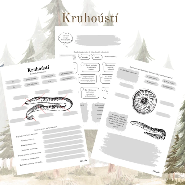 Kruhoústí