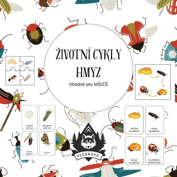 Hmyz - životní cyklus