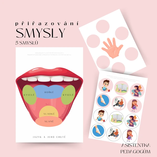 Smysly - přiřazování