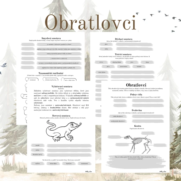 Obratlovci