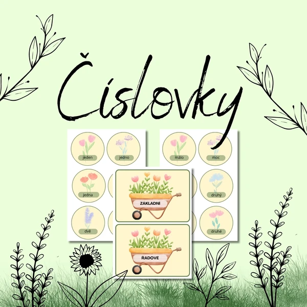 Číslovky - květiny