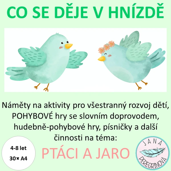 CO SE DĚJE V HNÍZDĚ – PTÁCI NA JAŘE/ různorodé aktivity