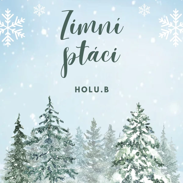 Zimní ptáci