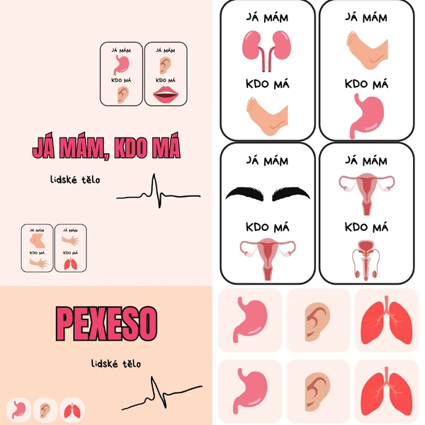 Lidské tělo - Já mám, kdo má & pexeso