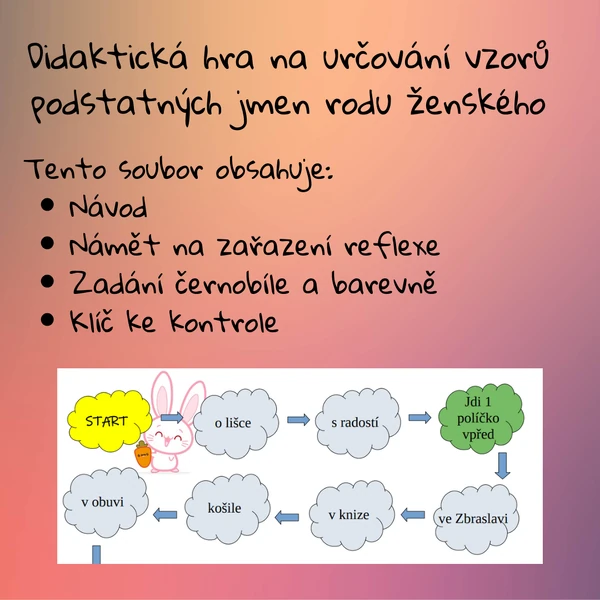Didaktická hra na určování vzorů podstatných jmen rodu ženského