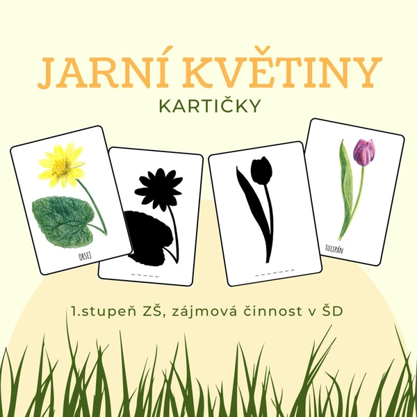 Jarní květiny - kartičky