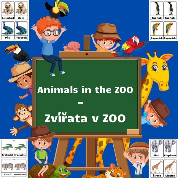 Animals in the ZOO