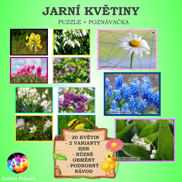 JARNÍ KVĚTINY (puzzle + poznávačka)